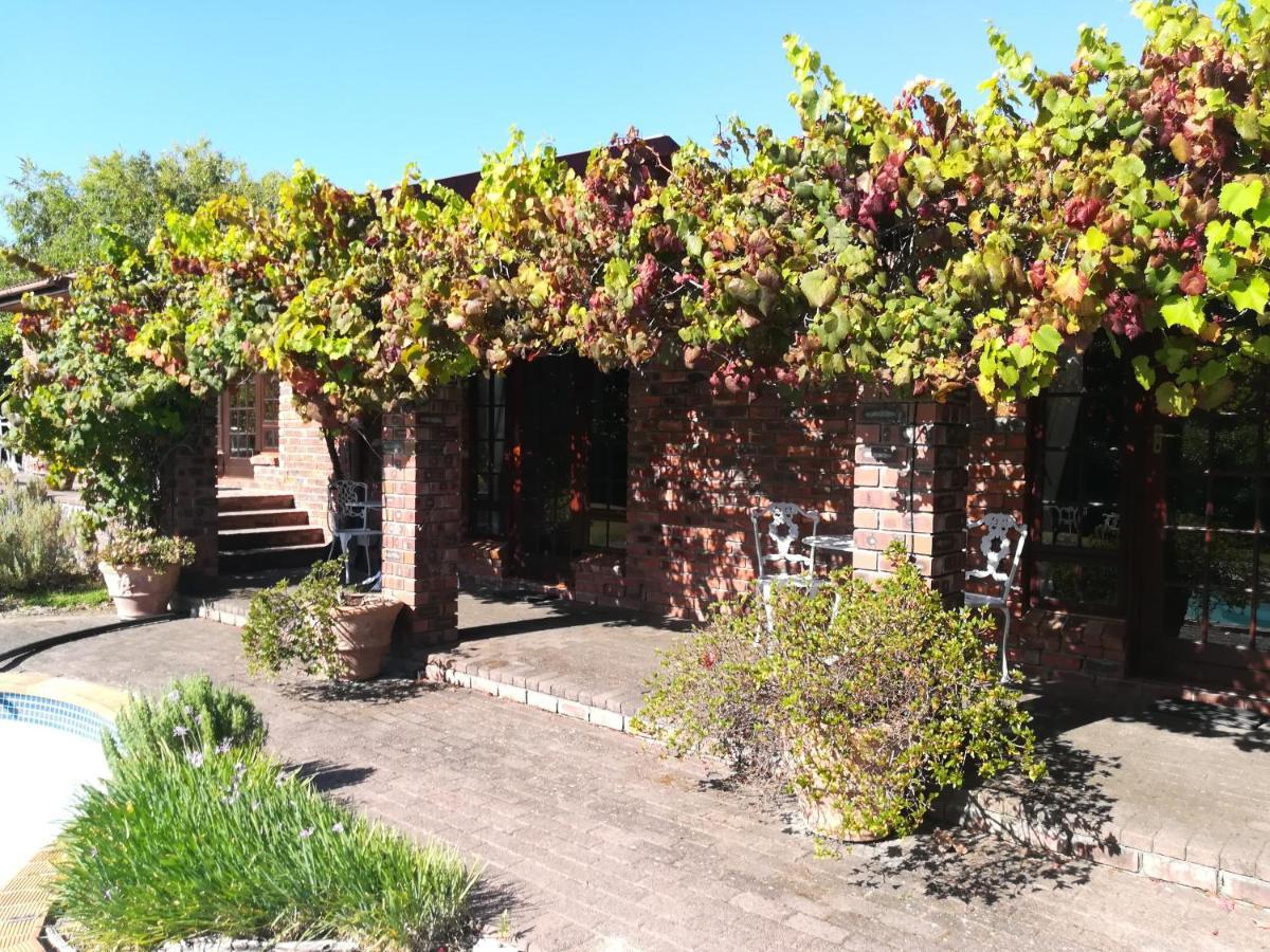 Le Petit Vignoble Bed & Breakfast Cape Town Exterior photo